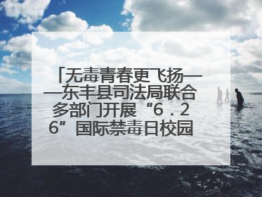 无毒青春更飞扬——东丰县司法局联合多部门开展“6．26”国际禁毒日校园宣讲活动