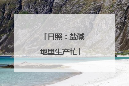 日照：盐碱地里生产忙