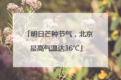 明日芒种节气，北京最高气温达36℃