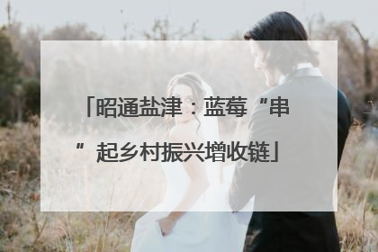 昭通盐津：蓝莓“串”起乡村振兴增收链