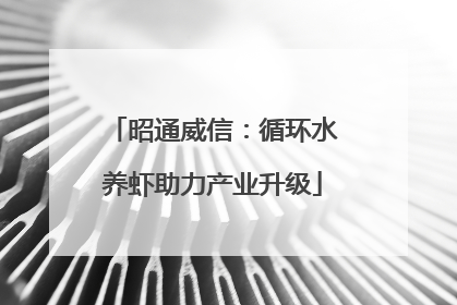 昭通威信：循环水养虾助力产业升级