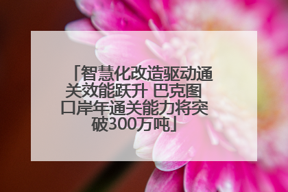 智慧化改造驱动通关效能跃升 巴克图口岸年通关能力将突破300万吨