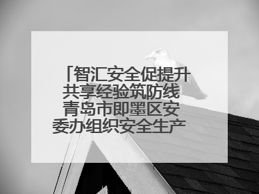 智汇安全促提升 共享经验筑防线 青岛市即墨区安委办组织安全生产共享专家现场观摩学习活动