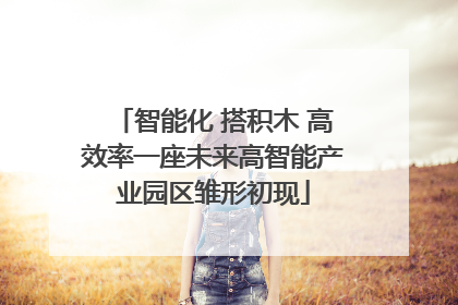智能化 搭积木 高效率一座未来高智能产业园区雏形初现