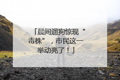 晨间遛狗惊现“毒株”，市民这一举动亮了！