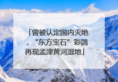 曾被认定国内灭绝，“东方宝石”彩鹮再现孟津黄河湿地