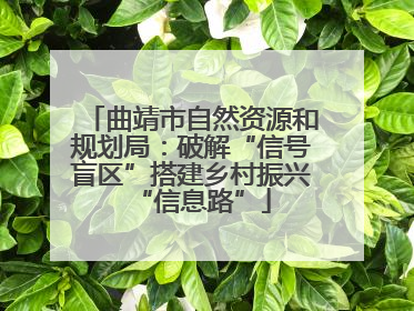 曲靖市自然资源和规划局：破解“信号盲区”搭建乡村振兴“信息路”