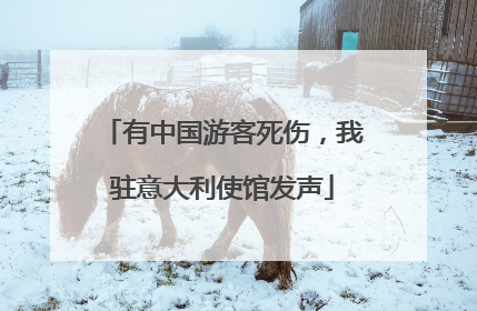 有中国游客死伤，我驻意大利使馆发声