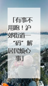 有事不用跑！沪郊街道一“码”解居民烦心事