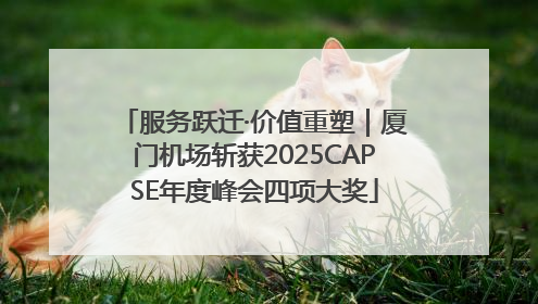 服务跃迁·价值重塑｜厦门机场斩获2025CAPSE年度峰会四项大奖