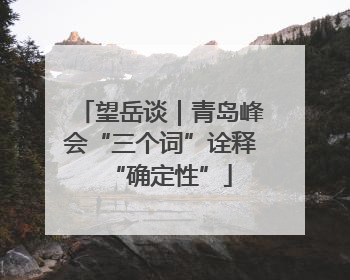 望岳谈｜青岛峰会“三个词”诠释“确定性”