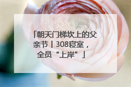 朝天门梯坎上的父亲节丨308寝室，全员“上岸”