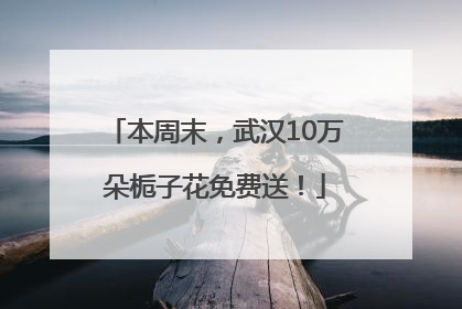 本周末，武汉10万朵栀子花免费送！