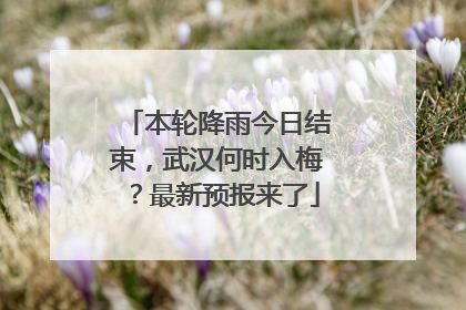 本轮降雨今日结束，武汉何时入梅？最新预报来了