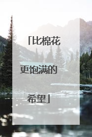 比棉花更饱满的希望