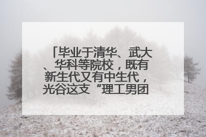 毕业于清华、武大、华科等院校，既有新生代又有中生代，光谷这支“理工男团”为何“出道”？