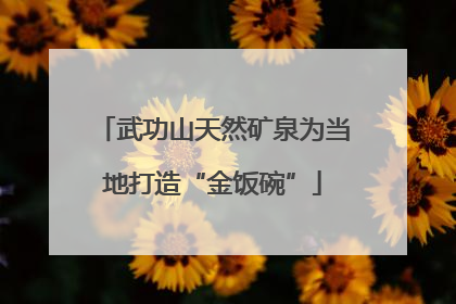 武功山天然矿泉为当地打造“金饭碗”