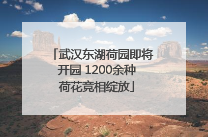 武汉东湖荷园即将开园 1200余种荷花竞相绽放