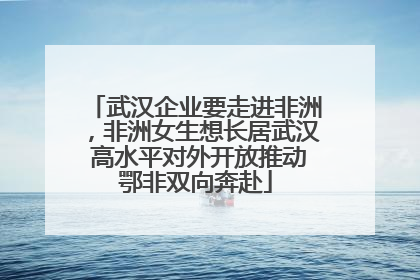 武汉企业要走进非洲，非洲女生想长居武汉 高水平对外开放推动鄂非双向奔赴
