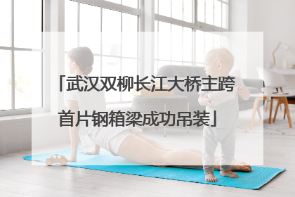 武汉双柳长江大桥主跨首片钢箱梁成功吊装