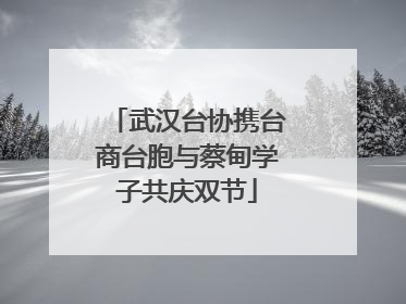 武汉台协携台商台胞与蔡甸学子共庆双节