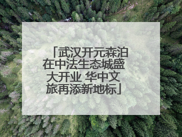 武汉开元森泊在中法生态城盛大开业 华中文旅再添新地标
