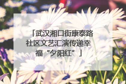 武汉湘口街康泰路社区文艺汇演传递幸福“夕阳红”