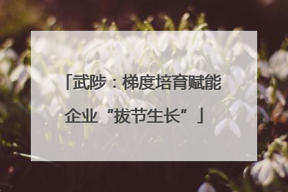 武陟：梯度培育赋能企业“拔节生长”