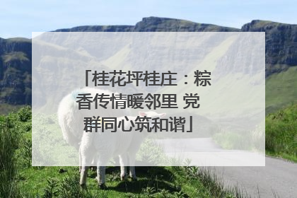 桂花坪桂庄：粽香传情暖邻里 党群同心筑和谐