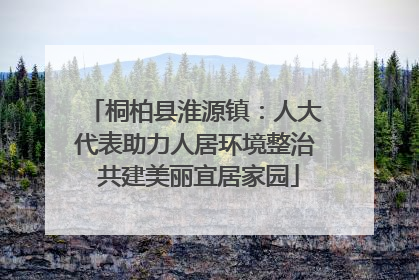 桐柏县淮源镇：人大代表助力人居环境整治 共建美丽宜居家园