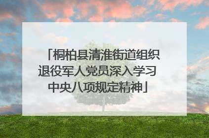 桐柏县清淮街道组织退役军人党员深入学习中央八项规定精神