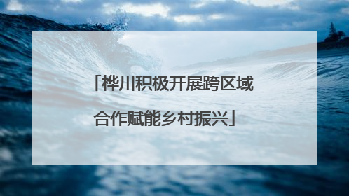 桦川积极开展跨区域合作赋能乡村振兴