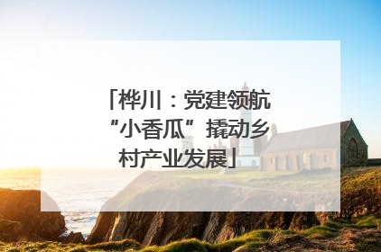 桦川：党建领航“小香瓜”撬动乡村产业发展