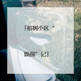 榕树小区“焕颜”记