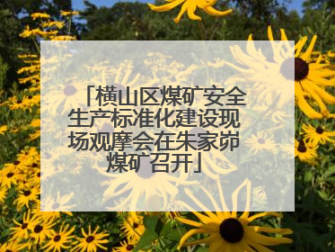 横山区煤矿安全生产标准化建设现场观摩会在朱家峁煤矿召开