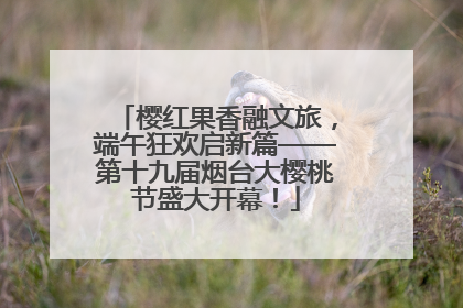 樱红果香融文旅，端午狂欢启新篇——第十九届烟台大樱桃节盛大开幕！