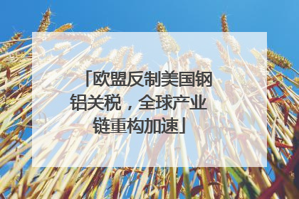 欧盟反制美国钢铝关税，全球产业链重构加速