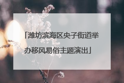 潍坊滨海区央子街道举办移风易俗主题演出