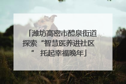 潍坊高密市醴泉街道探索“智慧医养进社区” 托起幸福晚年