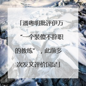 潘粤明批评伊万“一个装傻不辞职的教练”，此前多次发文评价国足