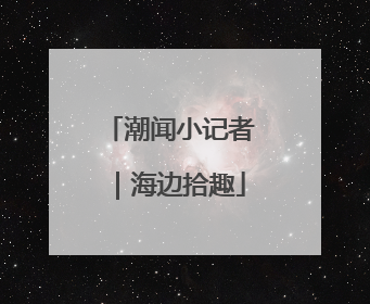 潮闻小记者｜海边拾趣