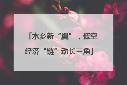 水乡新“翼”，低空经济“链”动长三角