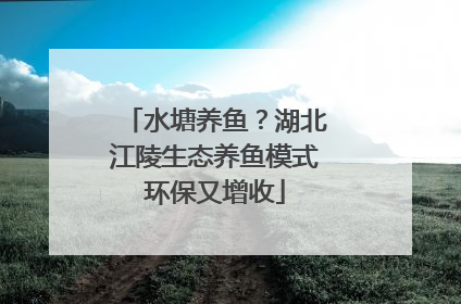 水塘养鱼？湖北江陵生态养鱼模式环保又增收