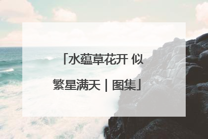 水蕴草花开 似繁星满天｜图集