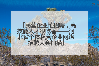 民营企业忙招聘，高技能人才很吃香——河北省个体私营企业网络招聘大会扫描