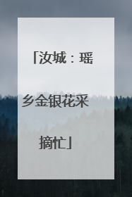 汝城：瑶乡金银花采摘忙