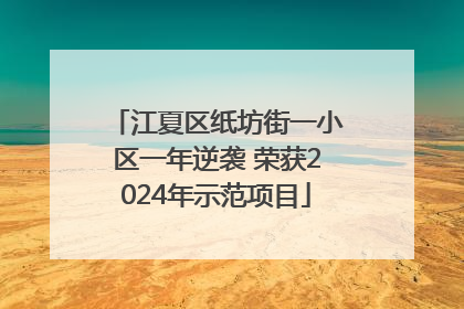 江夏区纸坊街一小区一年逆袭 荣获2024年示范项目