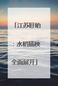 江苏盱眙：水稻插秧全面展开