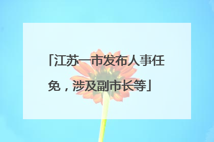 江苏一市发布人事任免，涉及副市长等