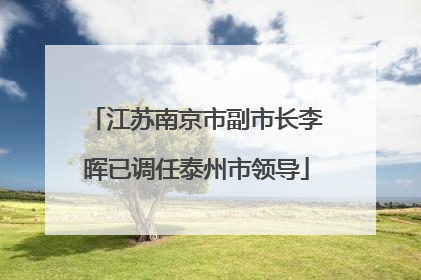 江苏南京市副市长李晖已调任泰州市领导